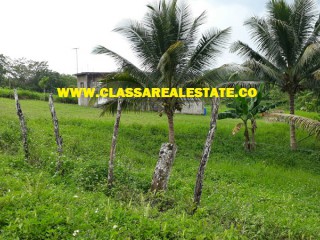 BURNT GROUND, Hanover, Jamaica - Commercial/farm land for Sale